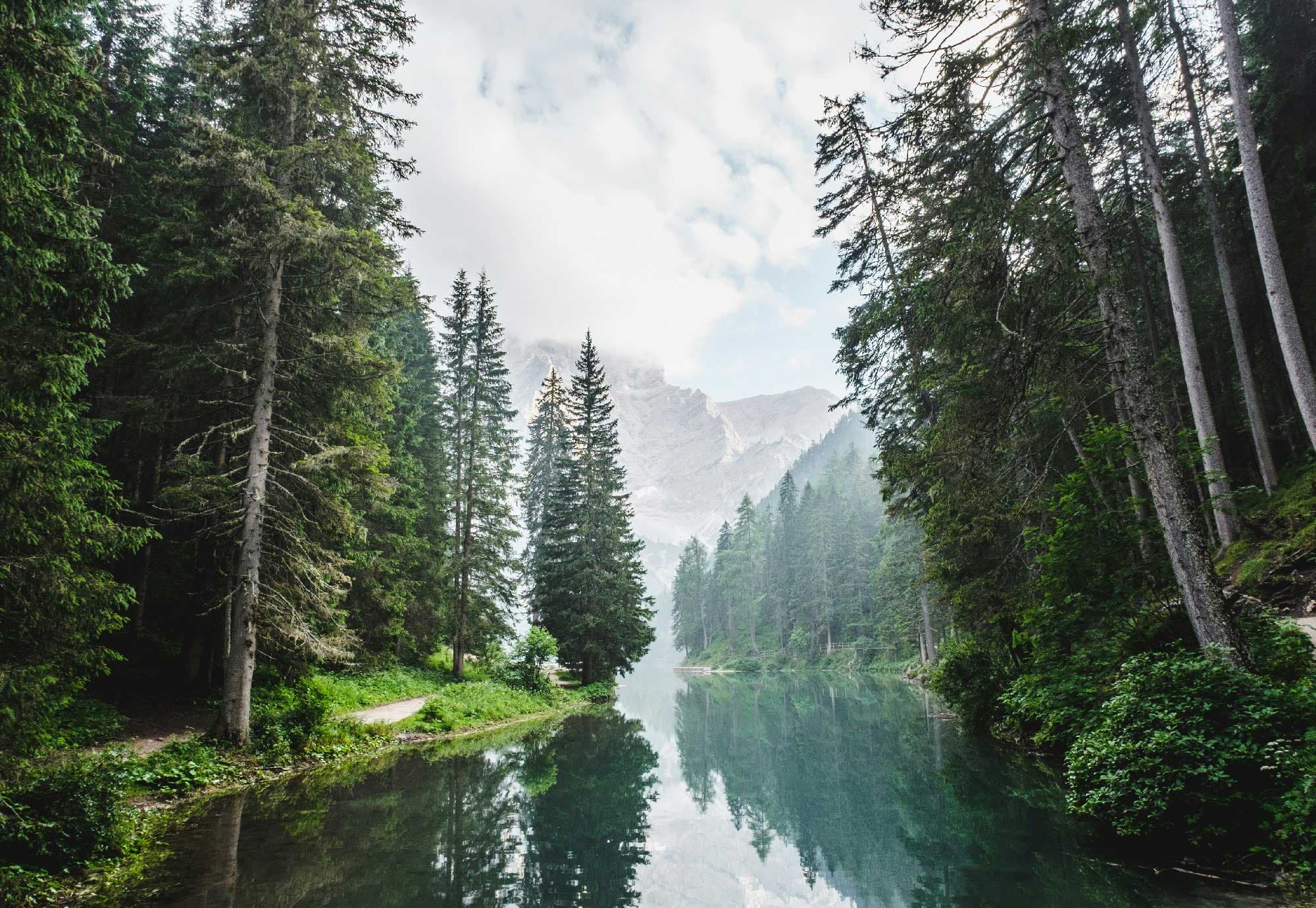 Lake with trees